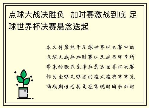 点球大战决胜负  加时赛激战到底 足球世界杯决赛悬念迭起