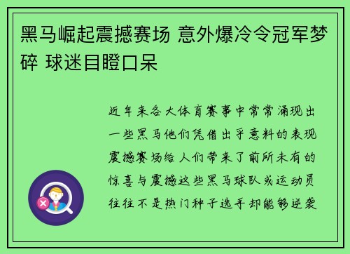黑马崛起震撼赛场 意外爆冷令冠军梦碎 球迷目瞪口呆